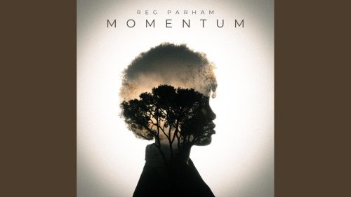 momentum (bq)